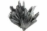 Metallic Stibnite Spray - Herja Mine, Romania #78853-1